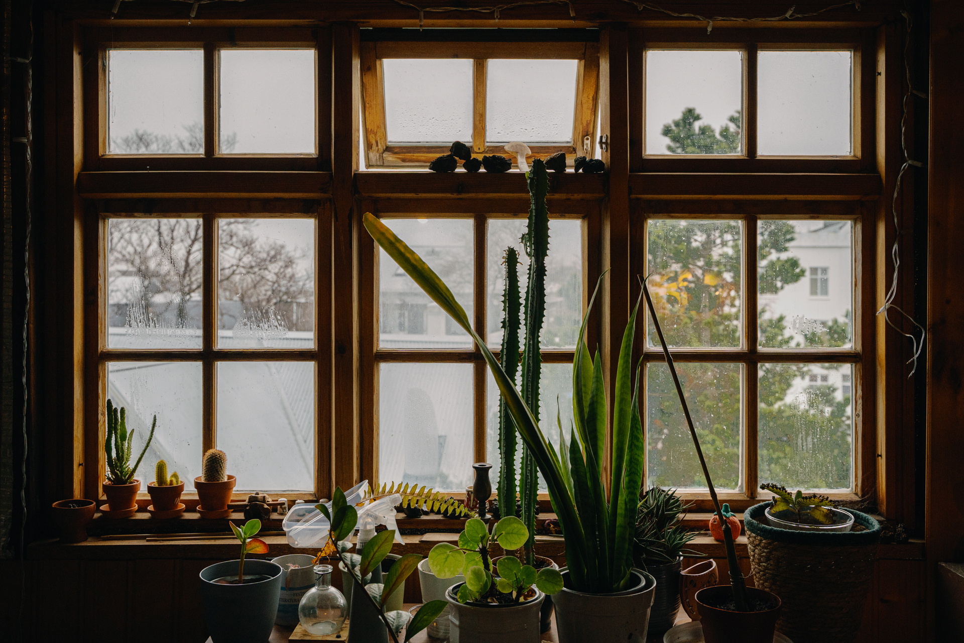 RVK Dancefestival Waiting for the Elves Björgvin Sigurðarson 3